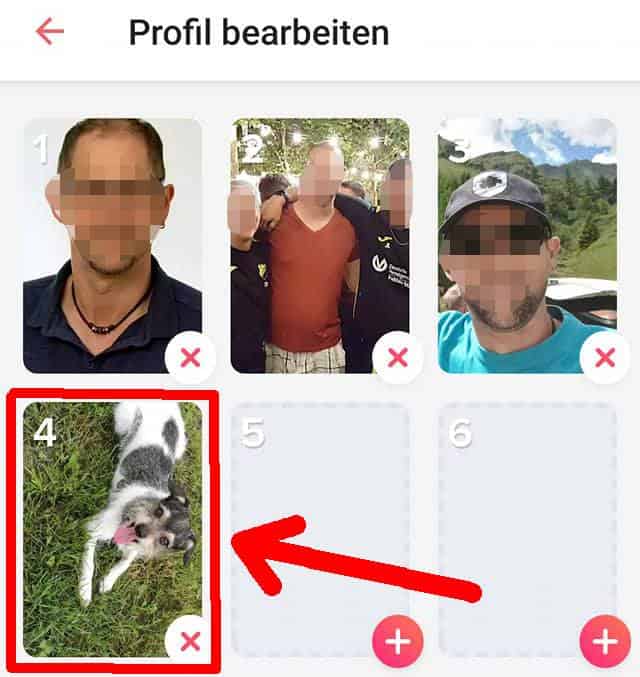 Beispiel für Tinderprofil Fehler nur Gegenstand oder Tier im Bild