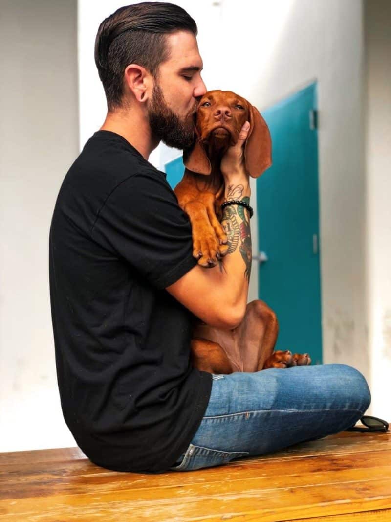 Beispielfoto Mann mit Hund bringt mehr Matches