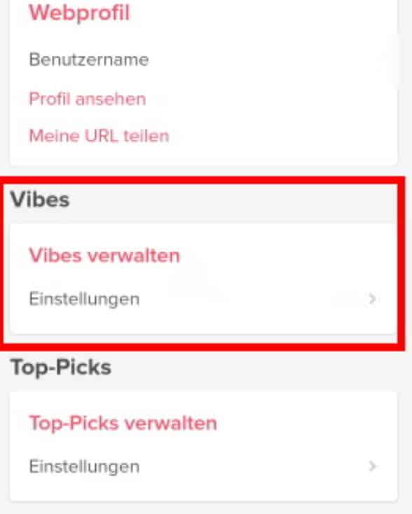 So aktivierst du Tinder Vibes in den App-Einstellungen