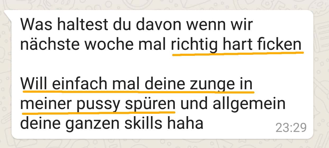 Screenshot von einem Tinder Sex Chat