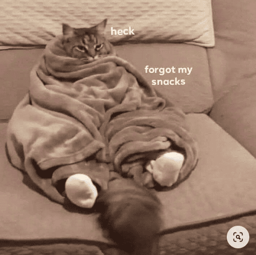 Beispiel für Meme als Antwort auf "wie geht es dir?" wenn du gemütlich auf der Couch chillst