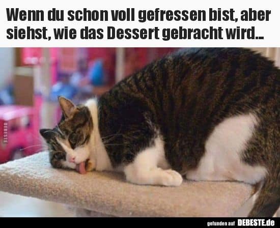 Beispiel für Meme als Begrüßung beim Flirten auf WhatsApp